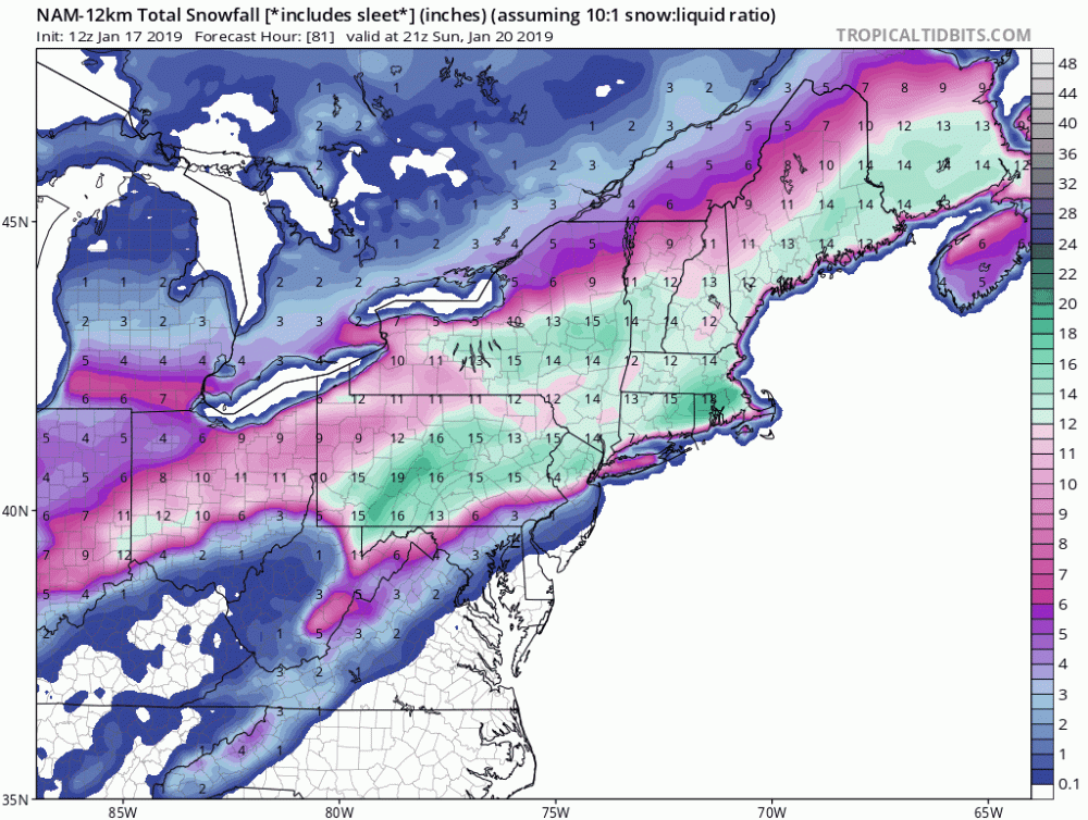 namconus_asnow_neus_fh81-81.gif