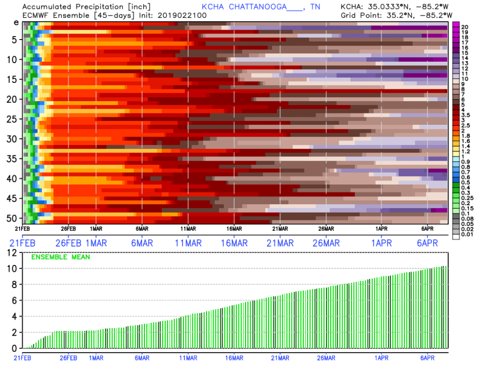 KCHA_2019022100_meps_precip_1104 (1).png