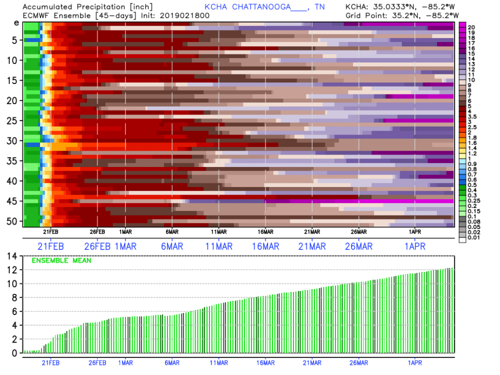 KCHA_2019021800_meps_precip_1104 (1).png