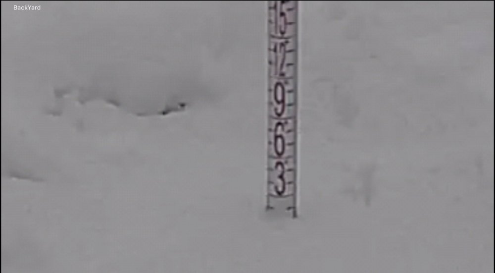 Pole.jpg