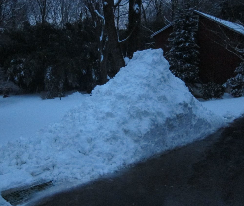 Snowpile_2-20-19_6pm.thumb.jpg.ffc713357451d9335b3103734f568e98.jpg