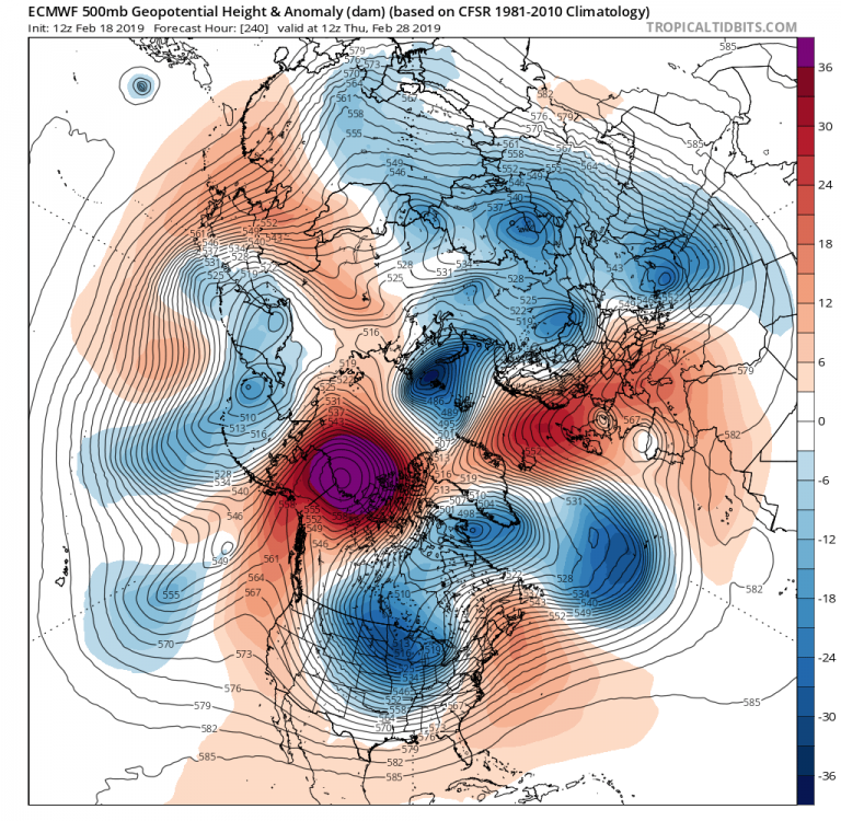 ecmwf_z500a_nhem_11.png