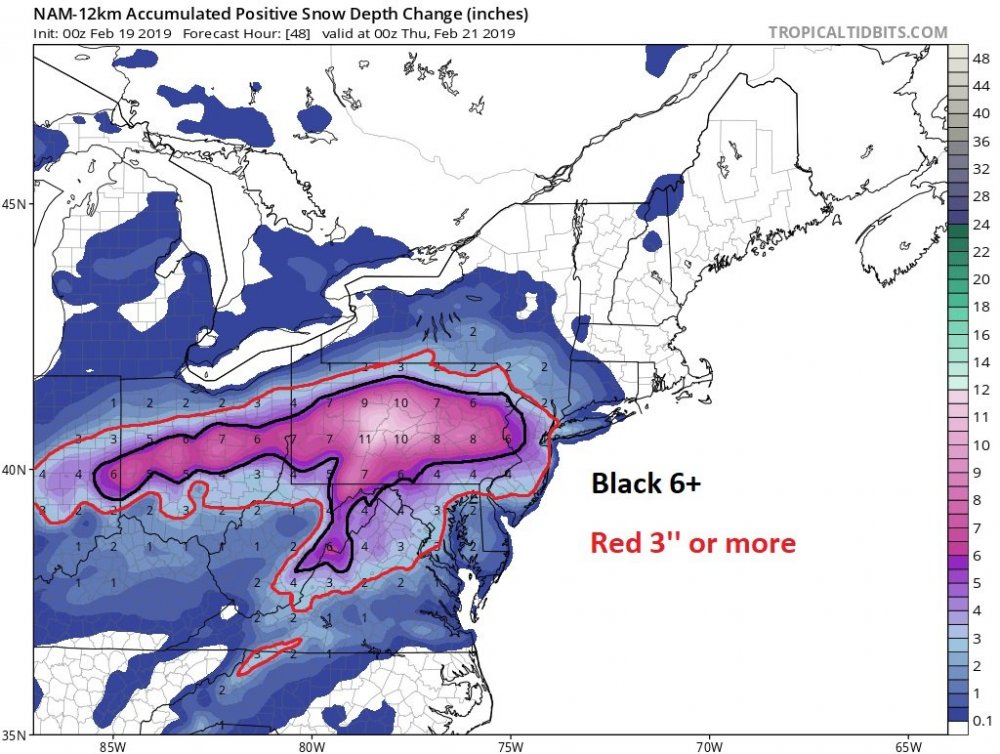 namconus_asnowd_neus_17.jpg