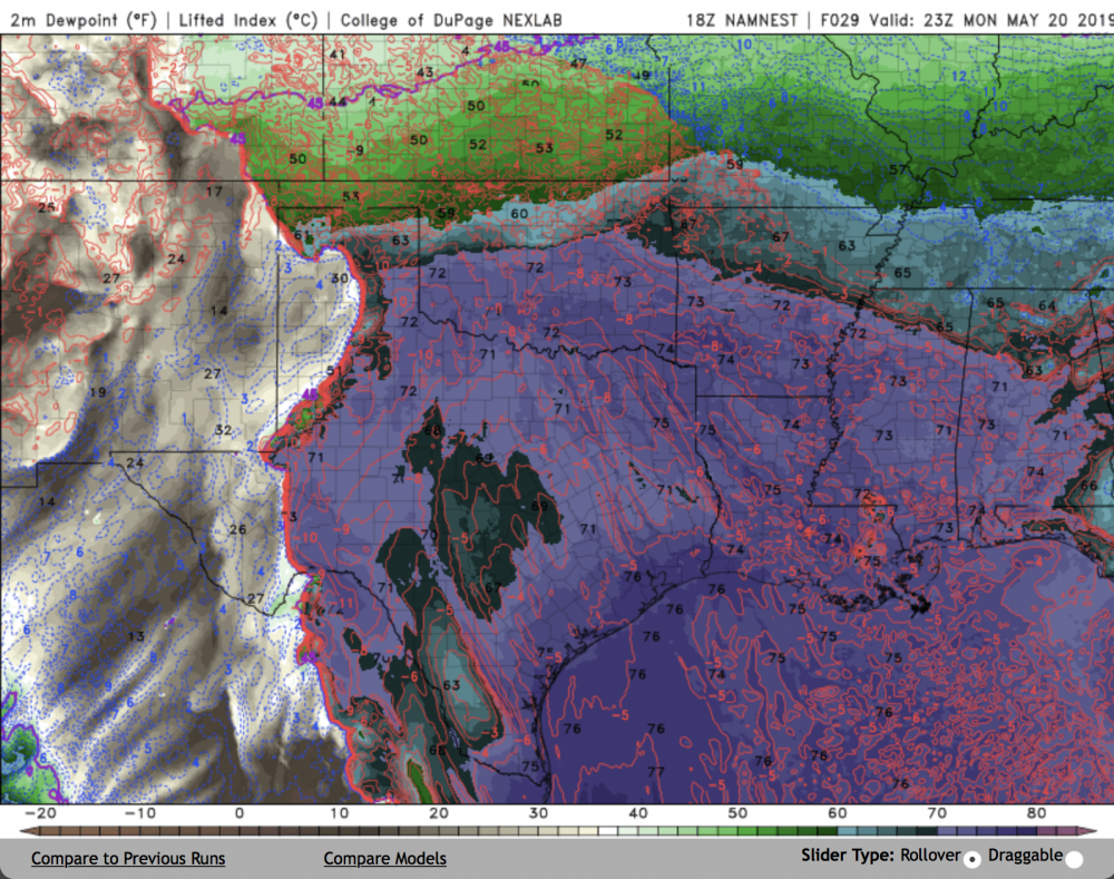 NAM_NEST.thumb.png.811960184c13b185a51151d6be8a2da1.png