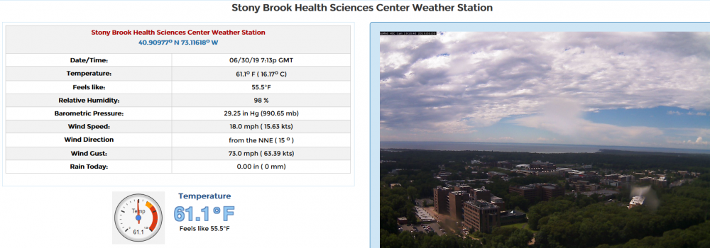 Stony Brook wind gust.png