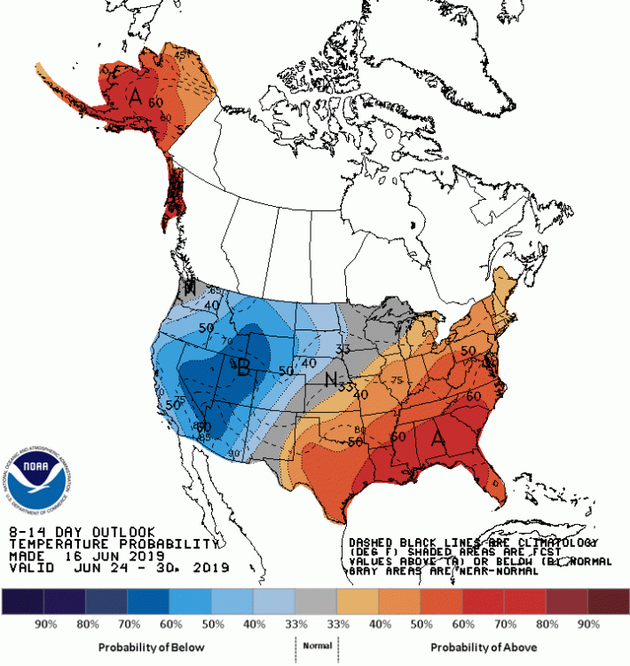 814temp.new.gif