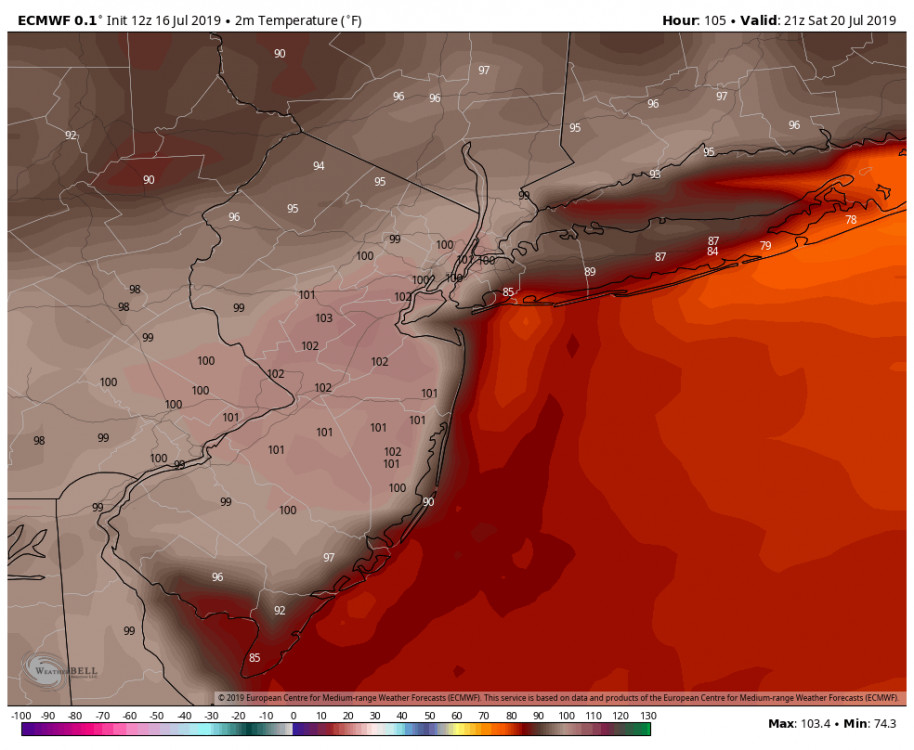 ecmwf-nyc-t2m_f-3656400.png