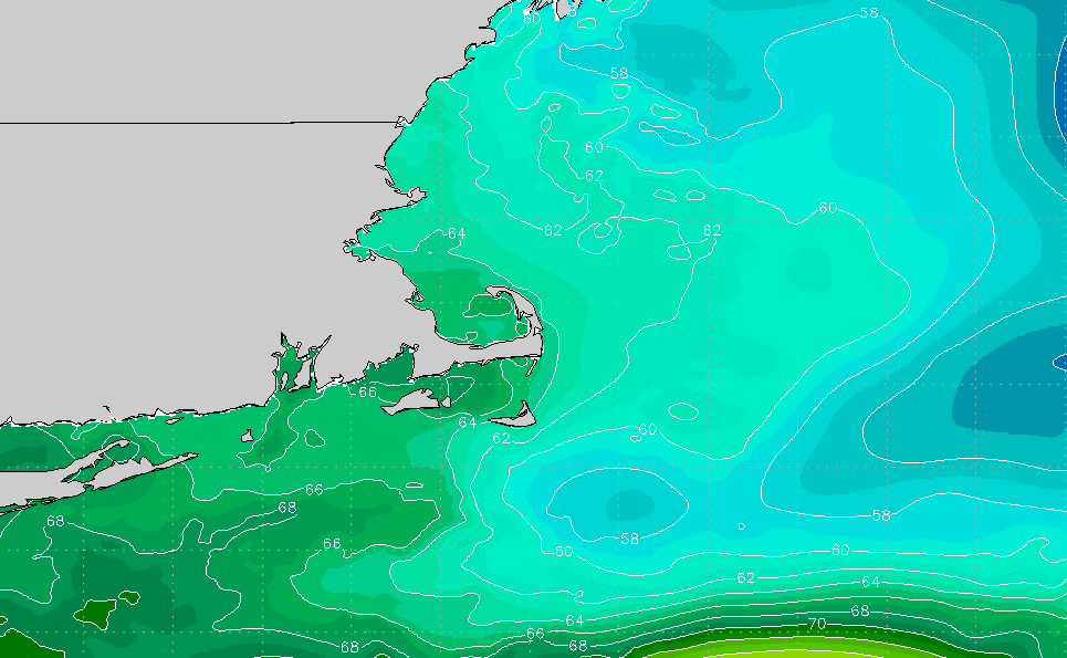 newengland_large_1_F.png.6d6f6eaadf250af20e05b67a175af08d.png