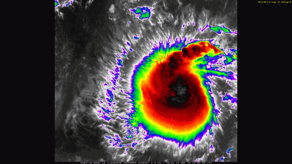 COD-GOES-East-meso-meso1.14.20190918.120026-800am-longwave-ir-09182019.gif