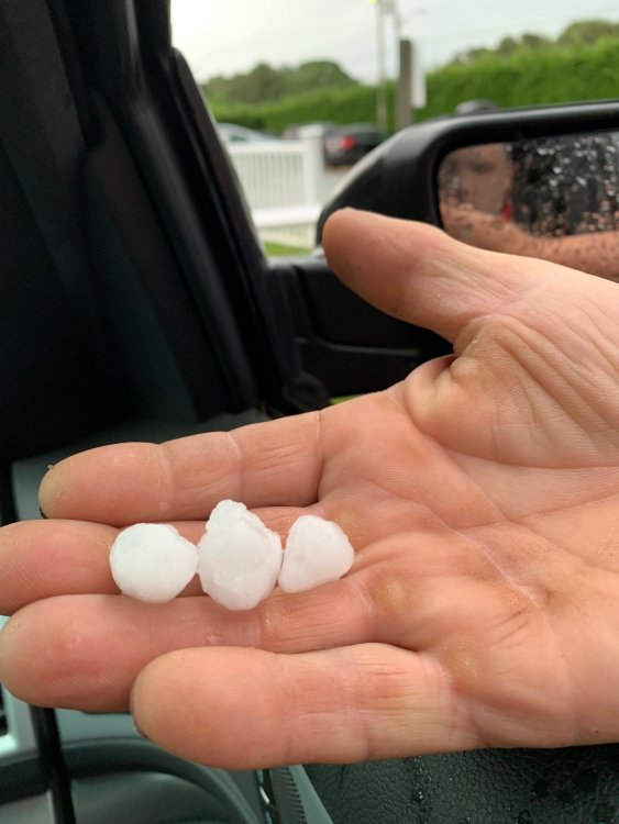 20190622 Hail event, quarter sized hail.jpg