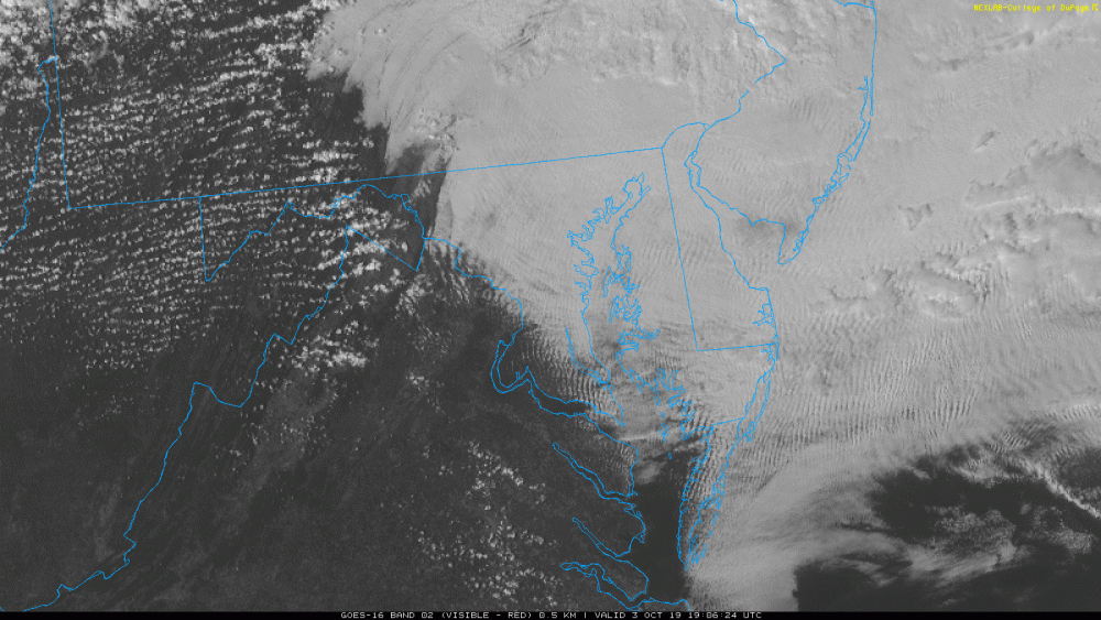 566949382_COD-GOES-East-local-Virginia_02.20191003.190624-overmap-bars.thumb.gif.92d8d2c699294c49f164bd235f661e12.gif