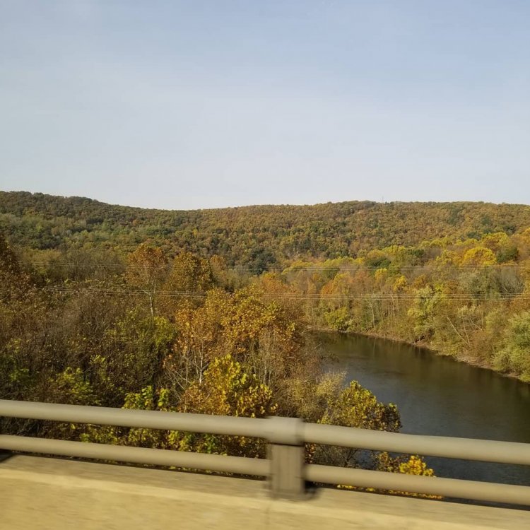 IMG_20191025_165808_376.jpg