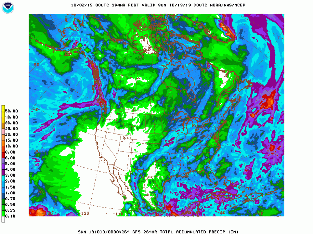 gfs_namer_264_precip_ptot.gif