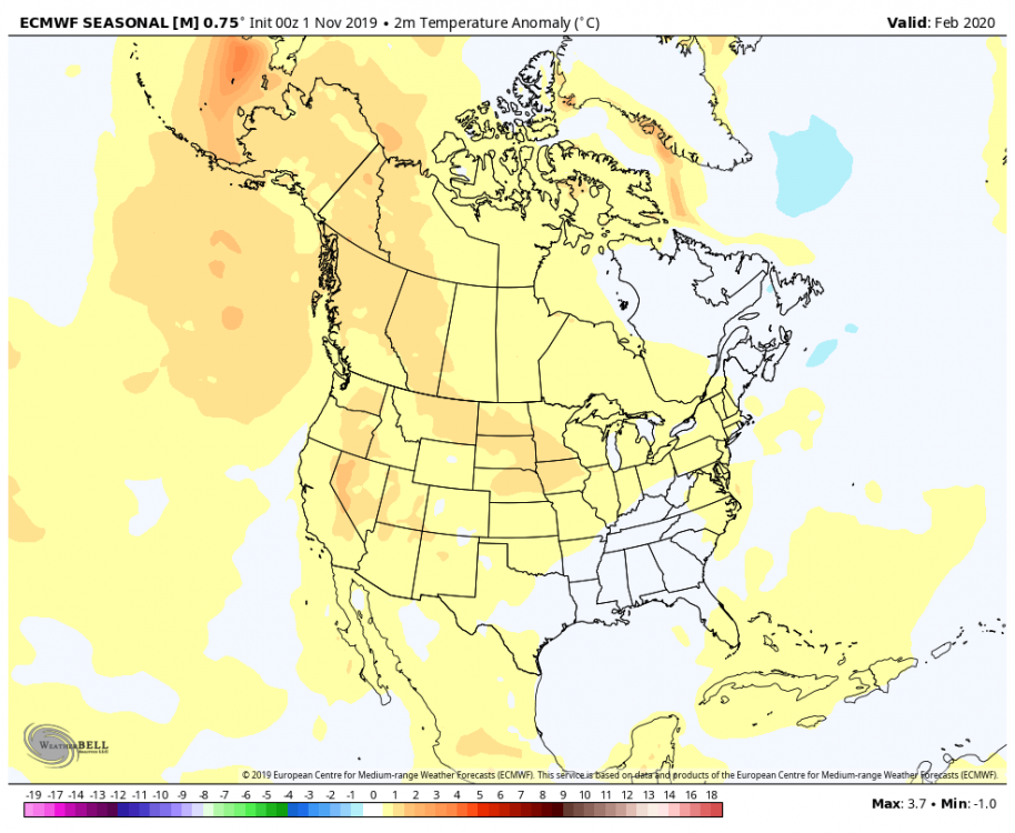 Feb 2020 ECMWF Seasonal Temperatures.png