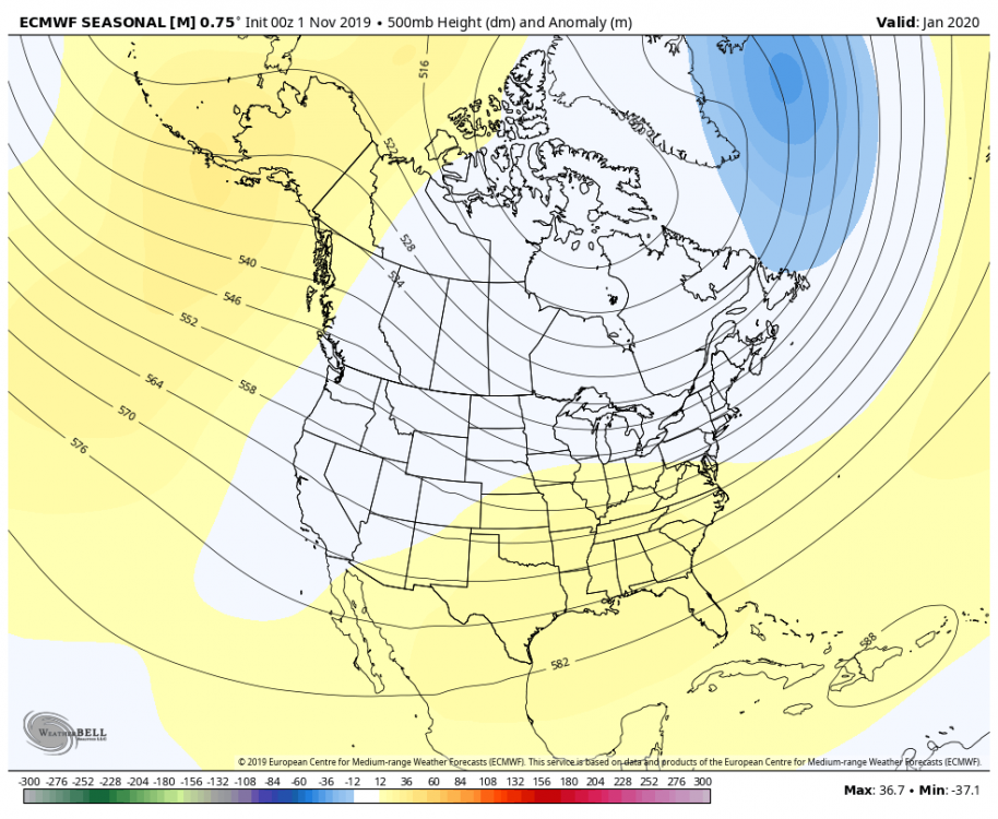 Jan 2020 ECMWF Seasonal.png