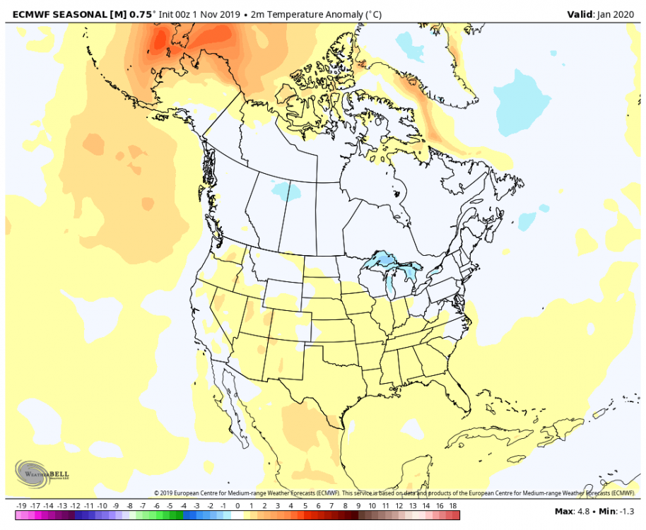 Jan 2020 ECMWF Seasonal Temperatures.png