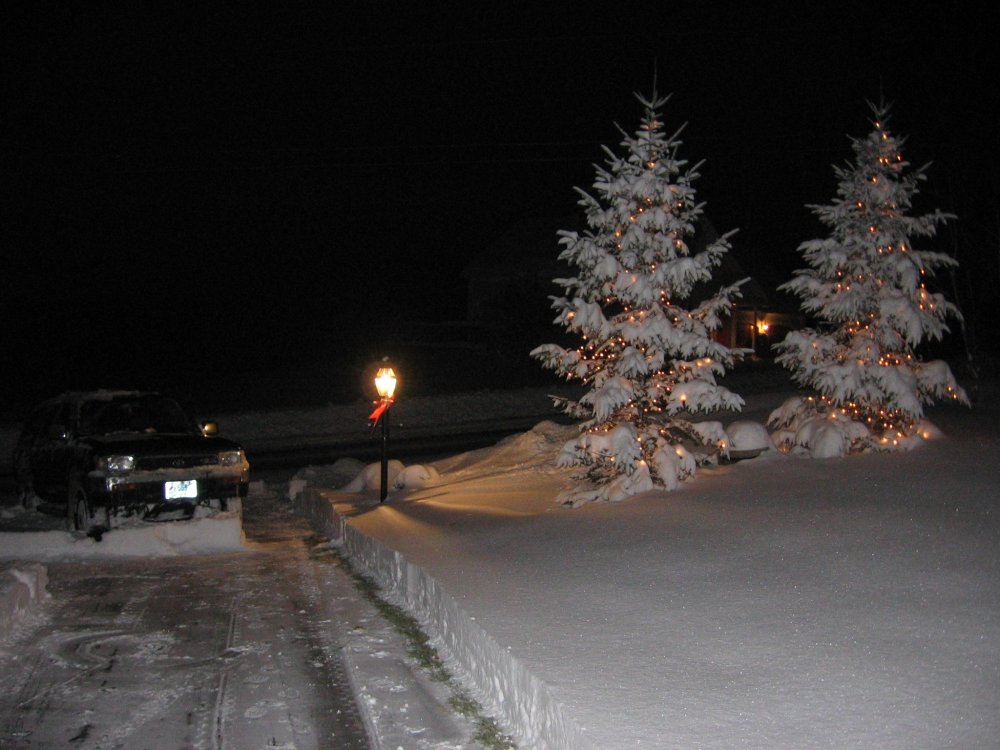 dec9 05 snow1.JPG