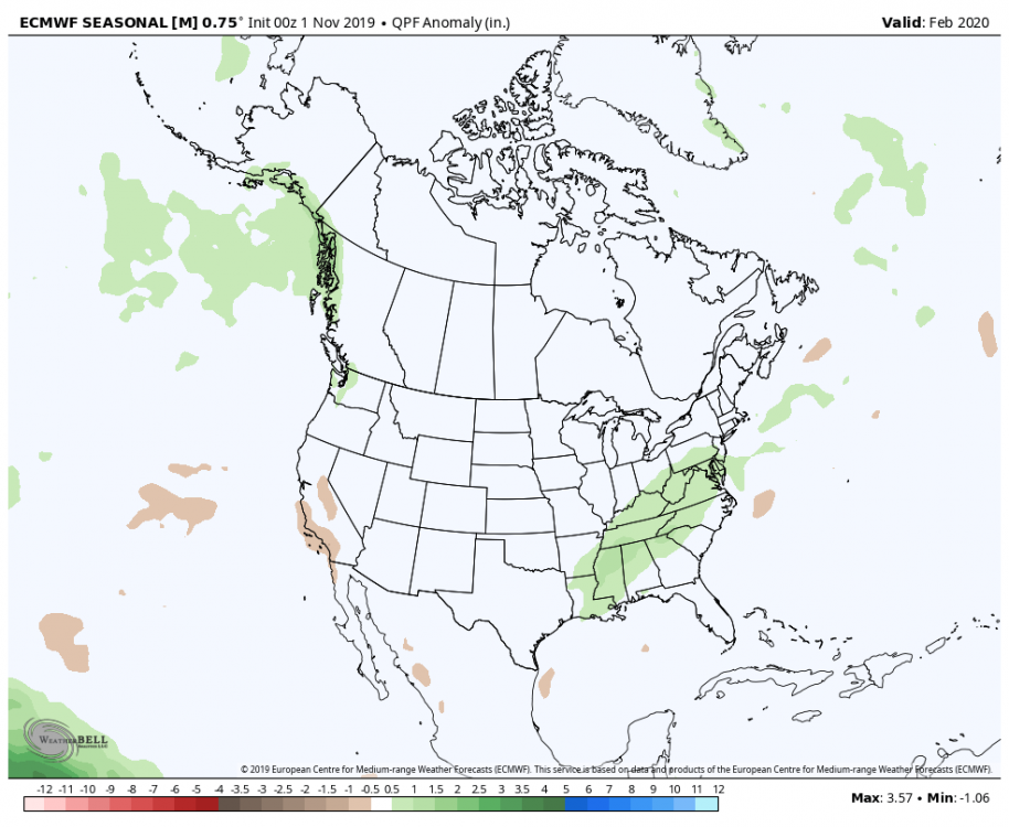 Feb 2020 ECMWF Seasonal Precipitation.png