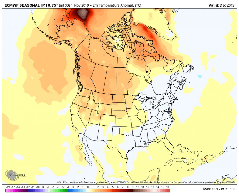 Dec 2019 ECMWF Seasonal Temperatures.png