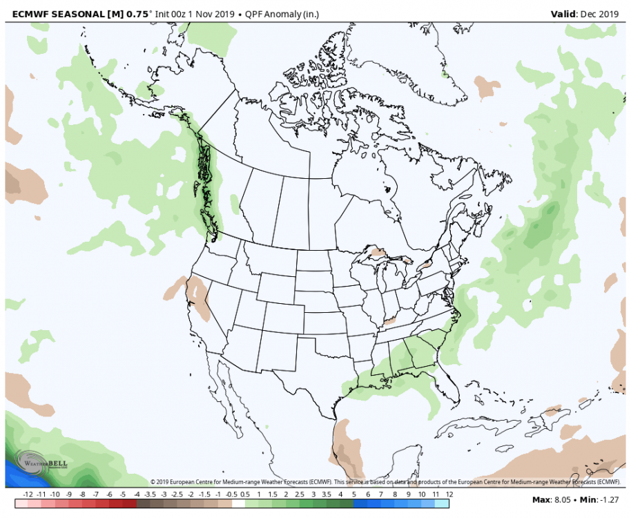 Dec 2019 ECMWF Seasonal Precipitation.png