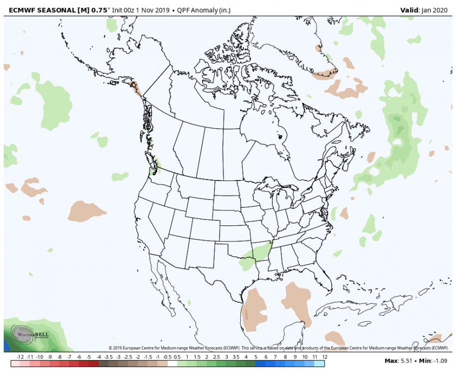 Jan 2020 ECMWF Seasonal Precipitation.png