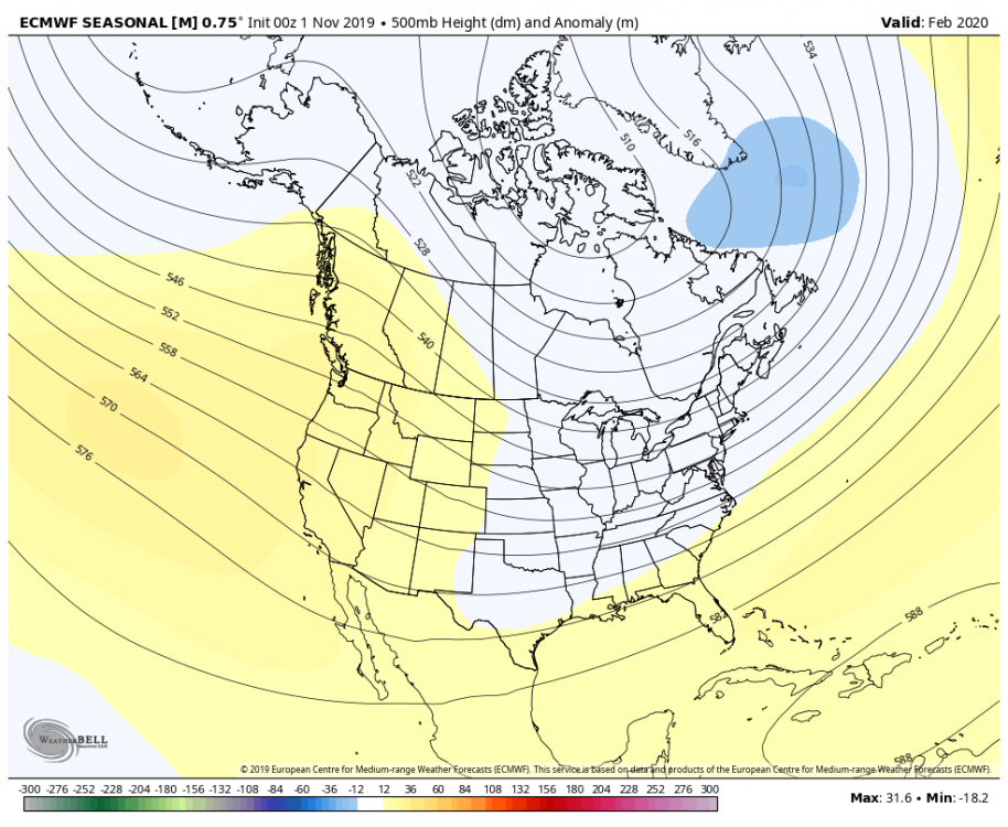 Feb 2020 ECMWF Seasonal.png