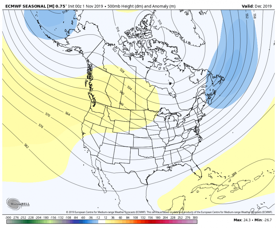 Dec 2019 ECMWF Seasonal.png