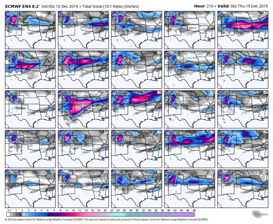 1468105700_ecmwf-ensemble-avg-scentus-snow_total_multimember_panel_ecmwf_a-6713600(1).thumb.png.0cc3477131a96bdb1a44fbf6f448643d.png