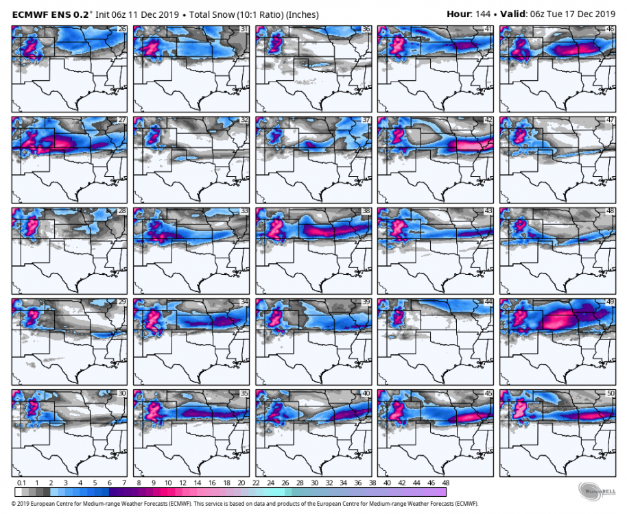 ecmwf-ensemble-avg-scentus-snow_total_multimember_panel_ecmwf_b-6562400 (1).png