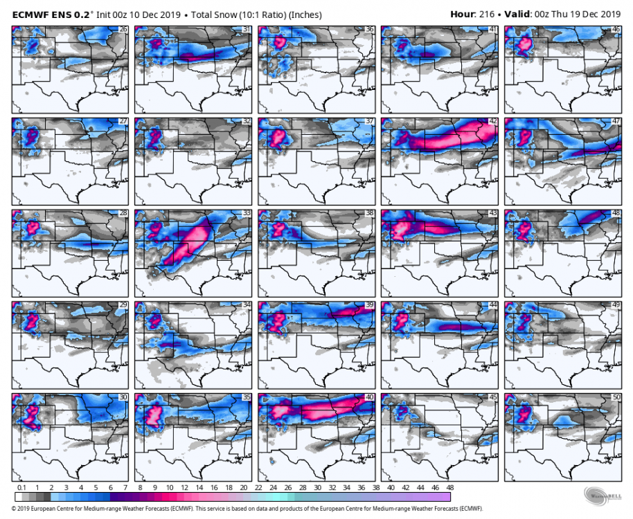 ecmwf-ensemble-avg-scentus-snow_total_multimember_panel_ecmwf_b-6713600 (1).png