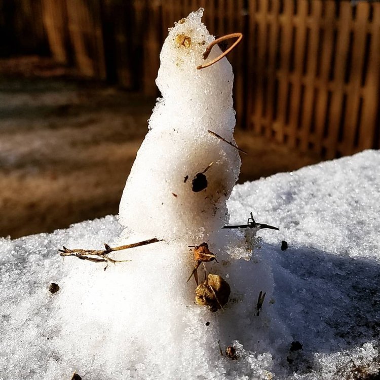 Snowman_Dec-11-2019.thumb.jpg.34aa8249c31c000696abdd452c32b6ff.jpg
