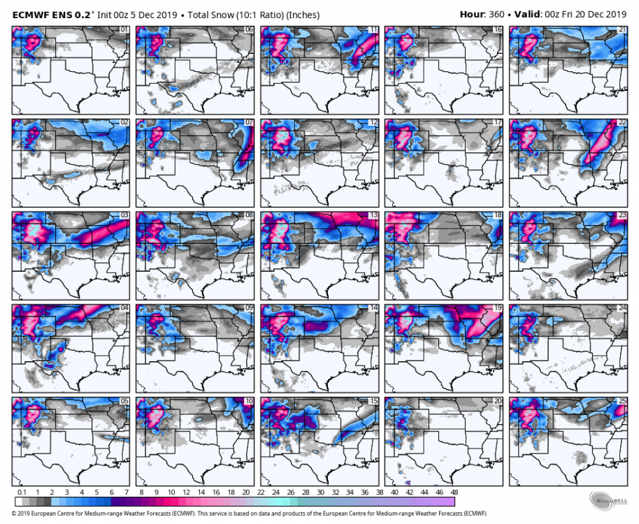 ecmwf-ensemble-avg-scentus-snow_total_multimember_panel_ecmwf_a-6800000.png