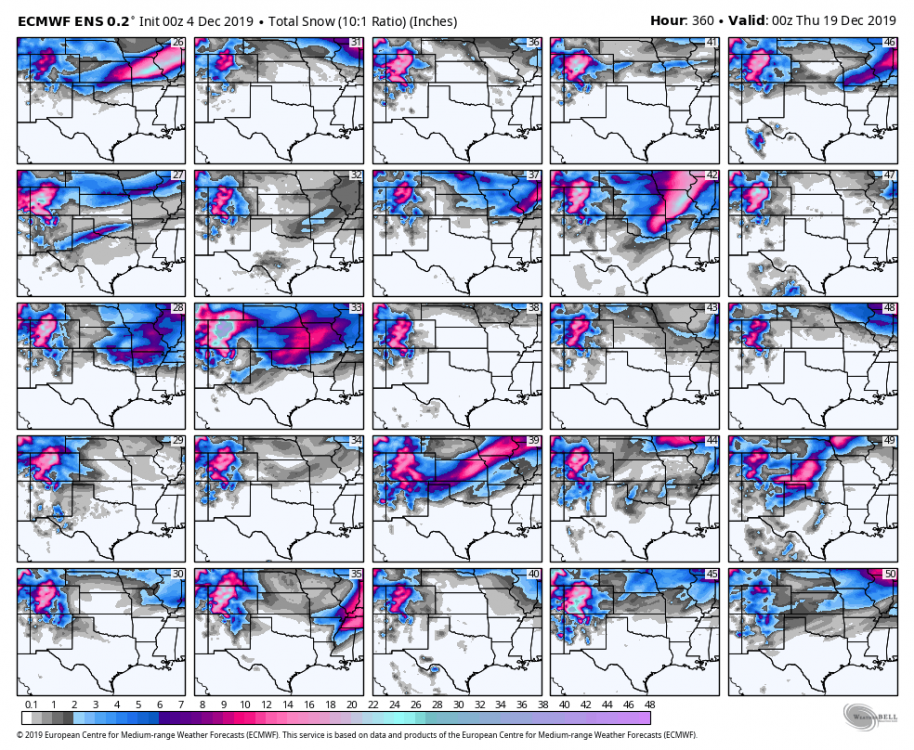 ecmwf-ensemble-avg-scentus-snow_total_multimember_panel_ecmwf_b-6713600.png