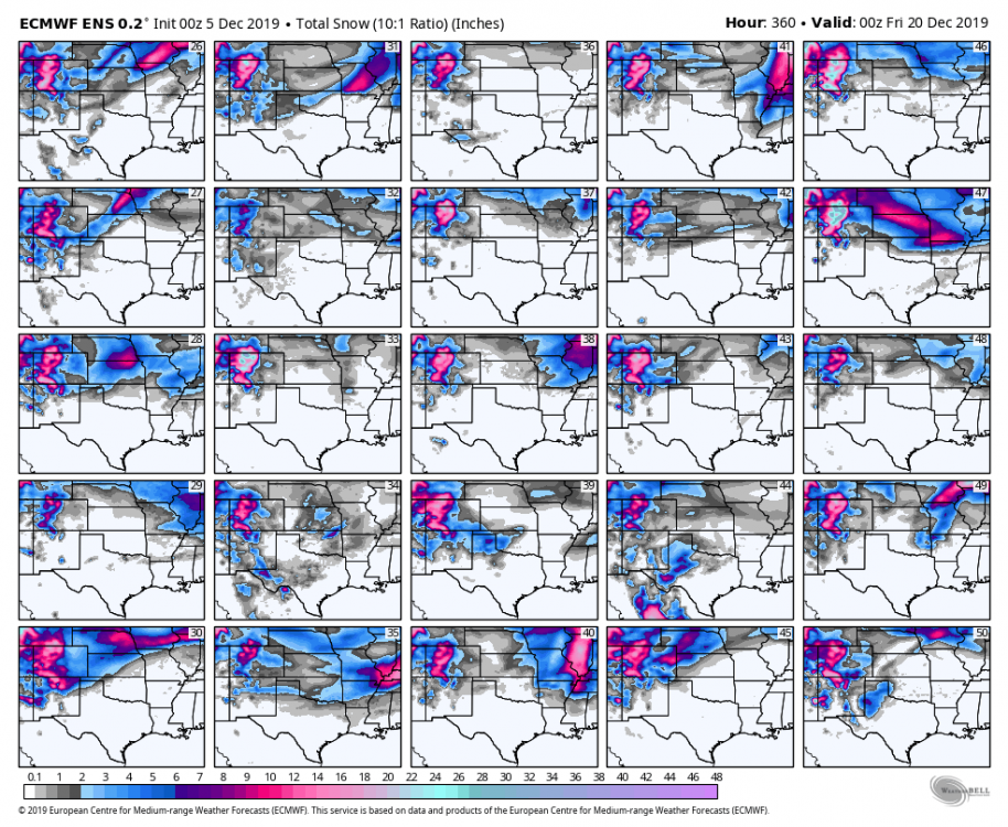 ecmwf-ensemble-avg-scentus-snow_total_multimember_panel_ecmwf_b-6800000.png