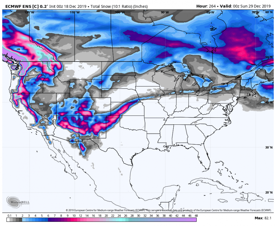 ecmwf-ensemble-c00-conus-total_snow_10to1-7577600.png