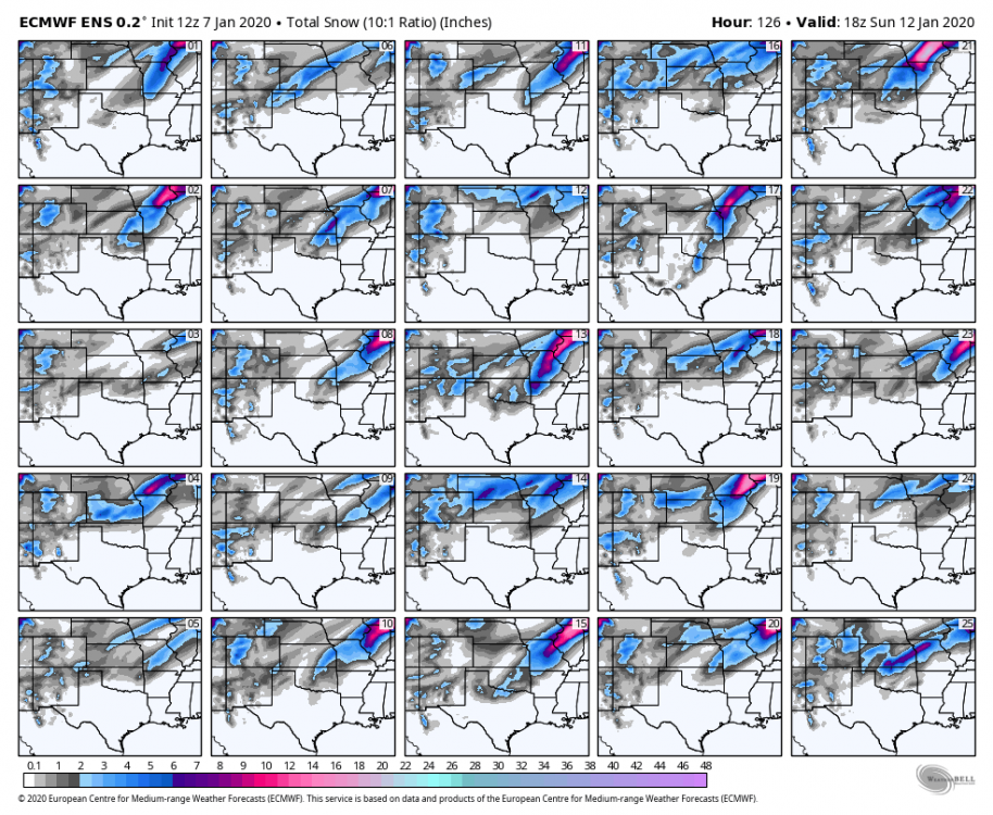 ecmwf-ensemble-avg-scentus-snow_total_multimember_panel_ecmwf_a-8852000 (1).png