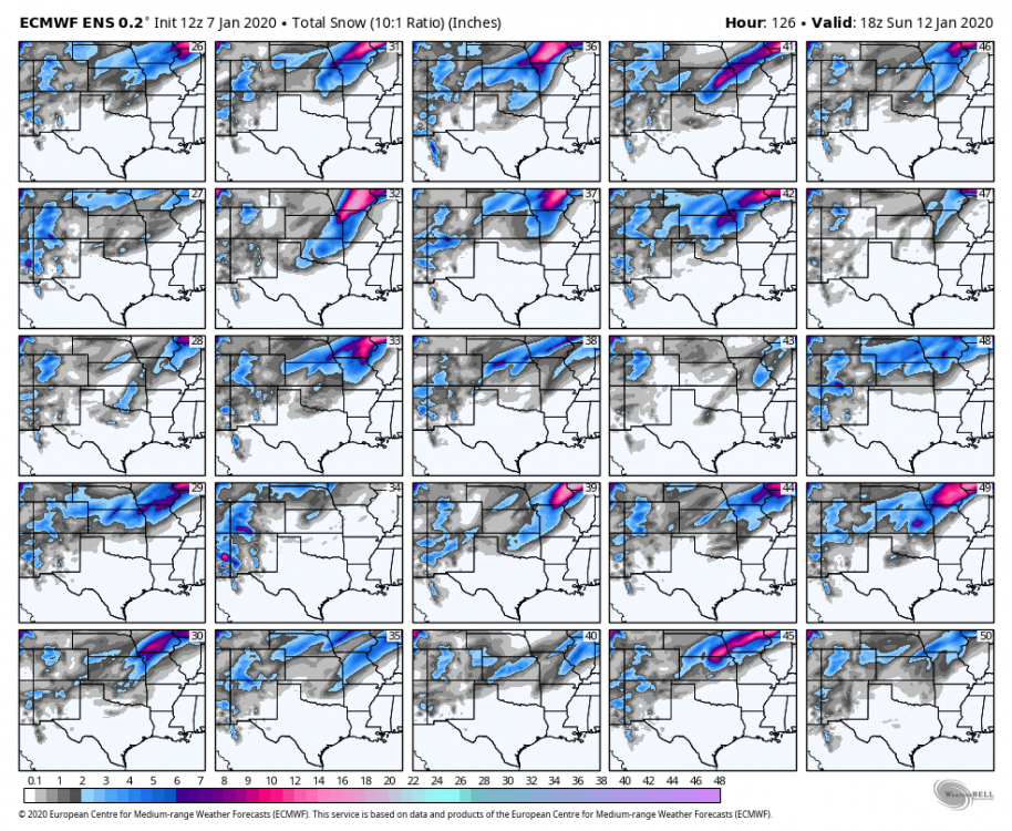 ecmwf-ensemble-avg-scentus-snow_total_multimember_panel_ecmwf_b-8852000 (1).png