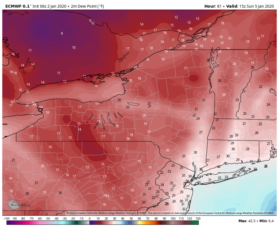 ecmwf-deterministic-nystate-dew2m_f-8236400  JAN 2 DPS FOR SNOW.png