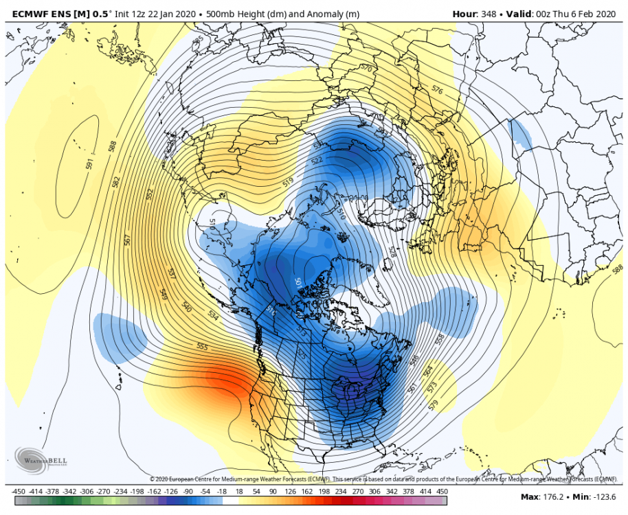 ecmwf-ensemble-avg-nhemi-z500_anom-0947200 JAN 22 DAY 15 BOMB.png