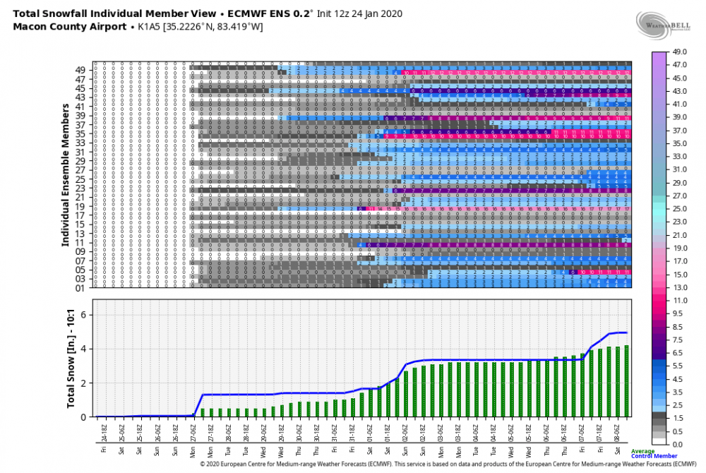 ecmwf-ensemble-K1A5-indiv_snow-9867200.thumb.png.f369ade976c5811419b13ba030bfcf61.png