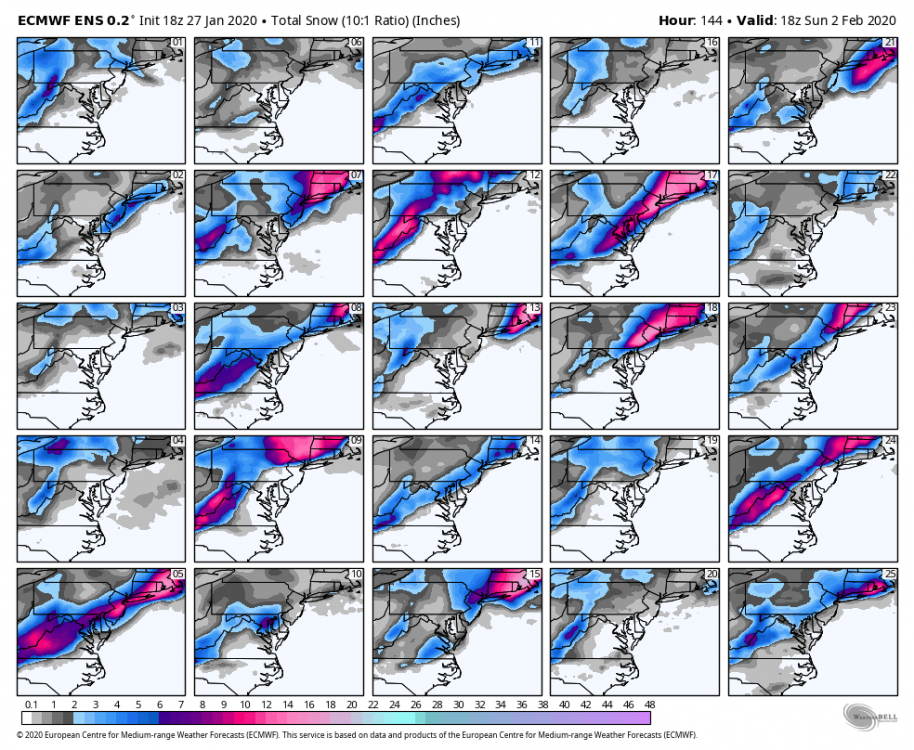 ecmwf-ensemble-avg-ma-snow_total_multimember_panel_ecmwf_a-0666400.png