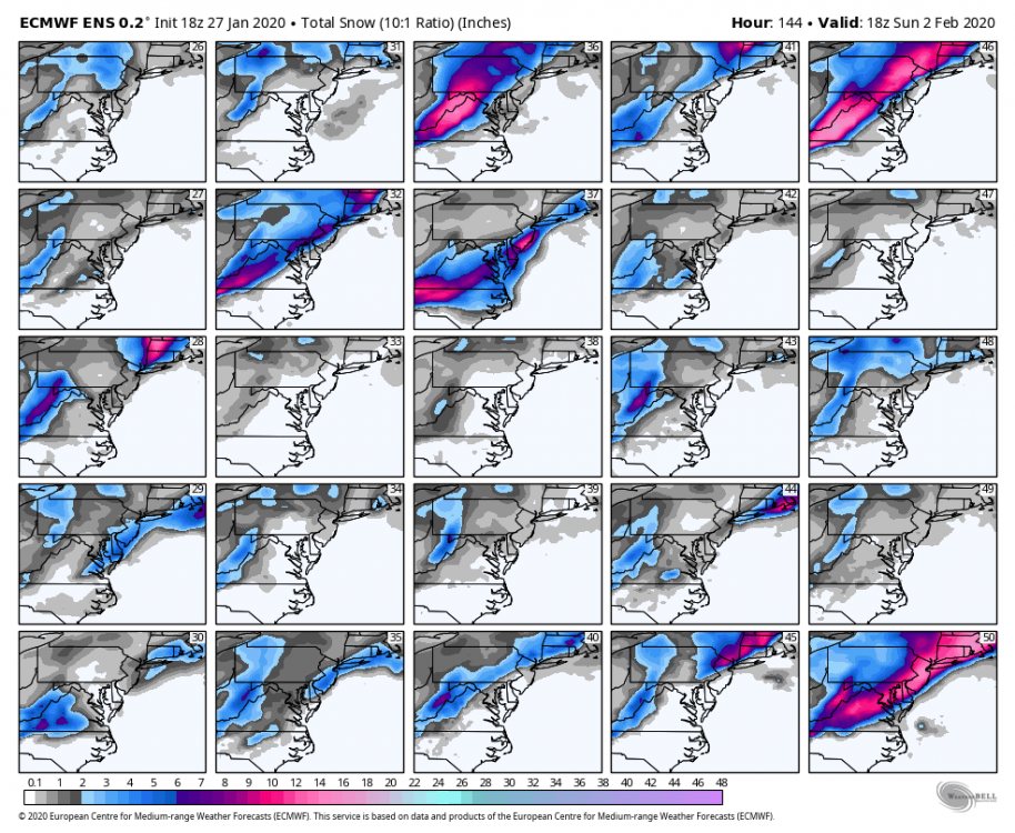 ecmwf-ensemble-avg-ma-snow_total_multimember_panel_ecmwf_b-0666400.png