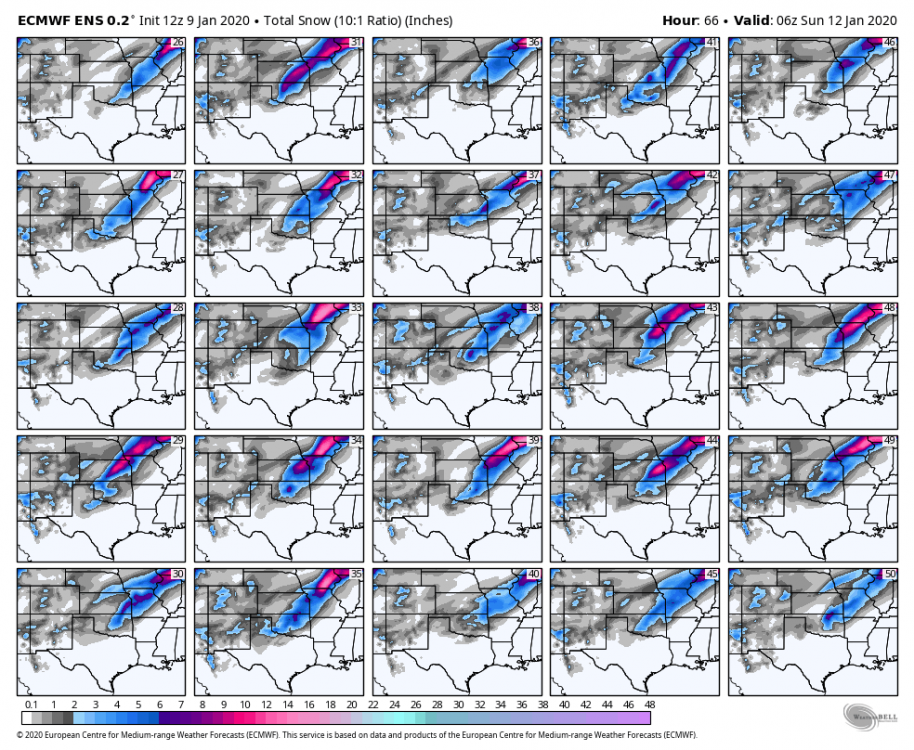 ecmwf-ensemble-avg-scentus-snow_total_multimember_panel_ecmwf_b-8808800.png