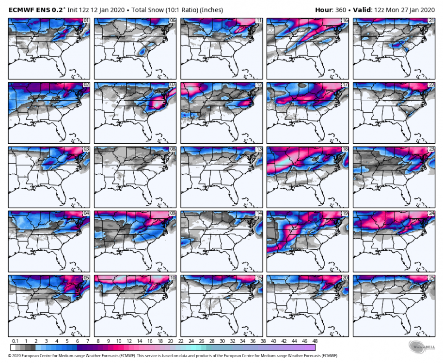 ecmwf-ensemble-avg-se-snow_total_multimember_panel_ecmwf_a-0126400.thumb.png.f8e078e3a1b2448a6da737a35fa36c7a.png