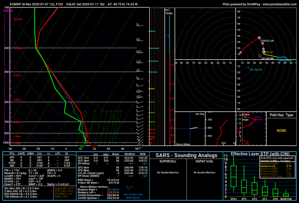 ecmwf_full_2020010712_102_40.75--74.25.png