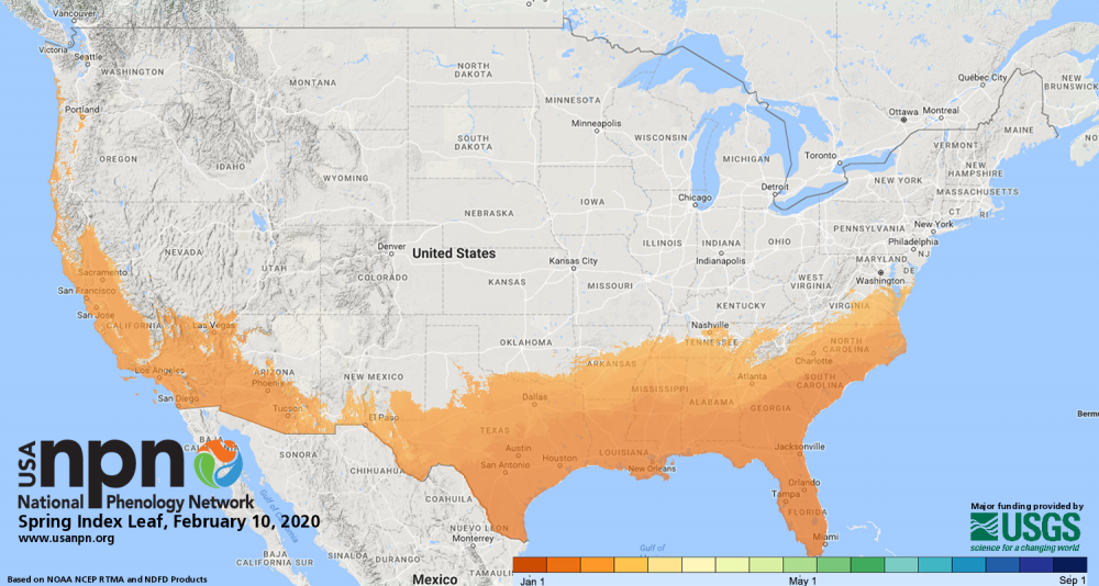 spring index.png