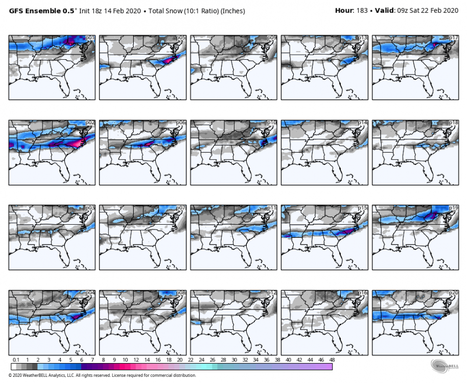 gfs-ensemble-all-avg-se-snow_total_multimember_panel-2362000.thumb.png.5e6c63f0067c934d9143cee54aa1a96a.png