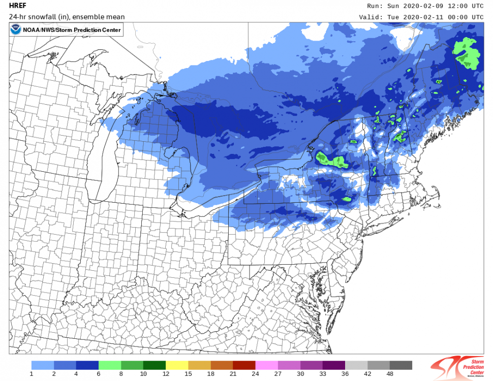 snowfall_024h_mean.ne.f03600.png