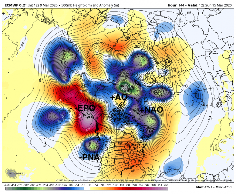 ecmwf-deterministic-nhemi-z500_anom-4273600.thumb.png.0b0b92824d6361e060ed9bc9001a5542.png