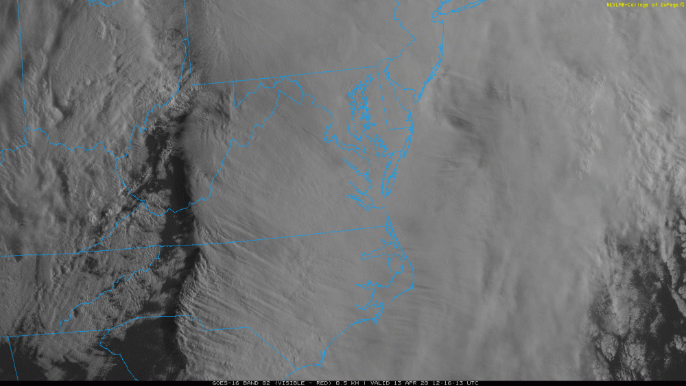 220117530_COD-GOES-East-subregional-Virginias_02.20200413.121613-overmap-bars.thumb.gif.2ed703e0e38b013bf607efca44ce9cb6.gif